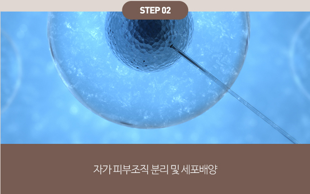 피부의 근본적인 재생을 돕는 자가성장인자와 100% 순수 콜라겐의 결합의 시너지 작용 